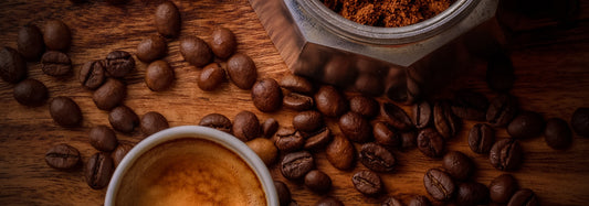 Coffee Roast Spectrum: Light to Dark Compared